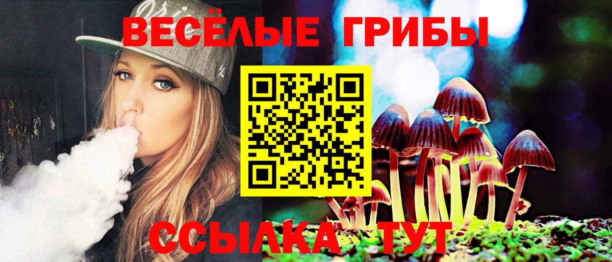 Саяногорск  Галлюциногенные грибы прущие грибы  Вход с VPN  Псилоцибиновые грибы прущие грибы 
